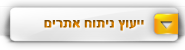 יעוץ ניתוח אתרים